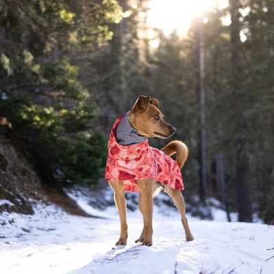 Abrigo Acolchado Impermeable para Perros Grandes - Protección Térmica Invierno - Image 11