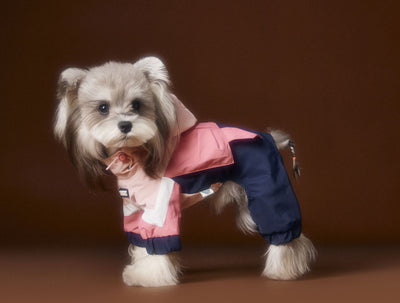 Ropa Deportiva para Perros Bichon Schnauzer con Arnés de Seguridad VIP - Image 15