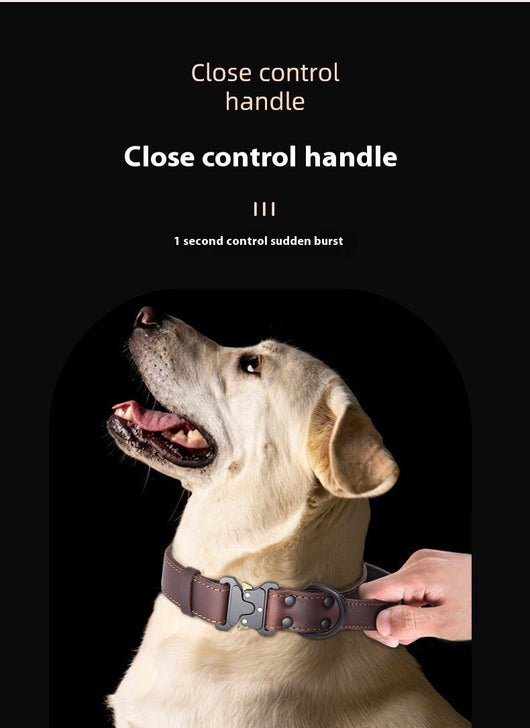 Arnés de Cuero Resistente con Cuerda de Tracción para Perros Grandes - Image 17