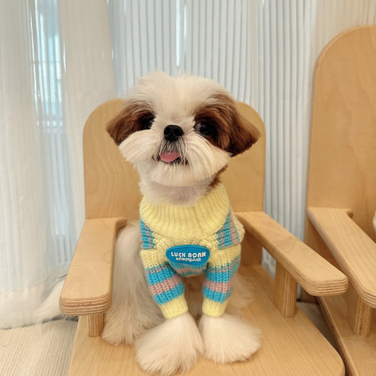 Suéter de Invierno para Perros Pequeños - Abrigo Cálido para Razas Toy - Image 18