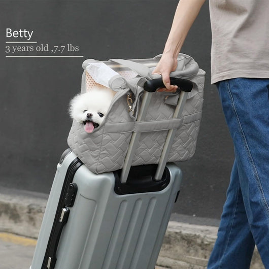 Bolsa Transportadora para Mascotas con Malla Transpirable y Cojín Suave - Image 5