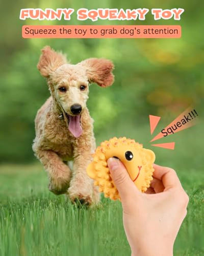 Juguetes Interactivos para Perros - Pelotas de Látex con Sonido Chirriante y Textura Espinuda - Image 5