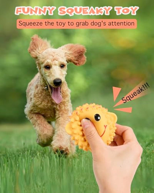 Juguetes Interactivos para Perros - Pelotas de Látex con Sonido Chirriante y Textura Espinuda - Image 5