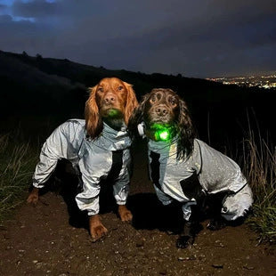 Impermeable Reflectante para Perros - Abrigo Protector Lluvia