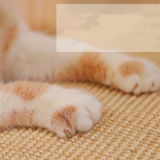 Rascador de Sisal para Gatos Resistente sin Pelusa - Image 12
