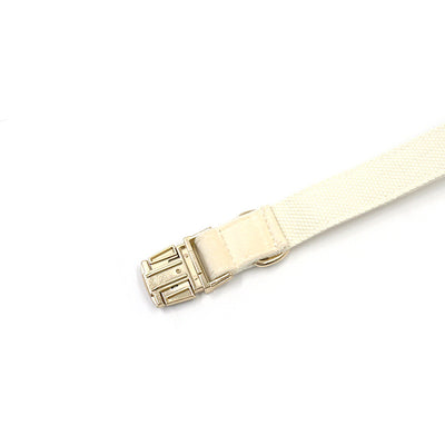 Collar para Perro Acolchado Crema con Hebilla Dorada - Image 9