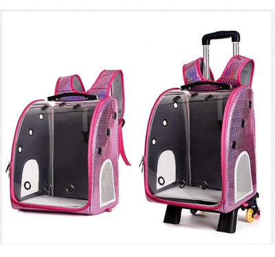Mochila Transportadora Transparente Plegable para Perros Pequeños con Bolsillo Pañales - Image 29