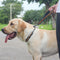 Cuerda de Entrenamiento Corta para Perros Grandes con Tracción