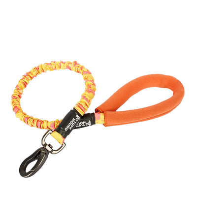 Correa de Paseo para Perros Medianos Bianmu Golden Retriever - Image 14