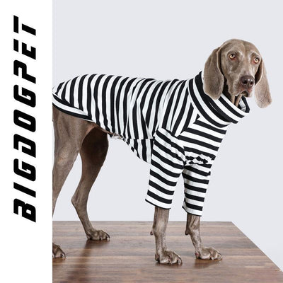 Ropa para Perros Grandes - Chaleco Delgado Transpirable - Image 10