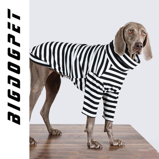 Ropa para Perros Grandes - Chaleco Delgado Transpirable - Image 10
