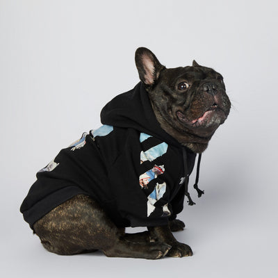 Ropa de Moda para Schnauzers - Colecciones Exclusivas - Image 3