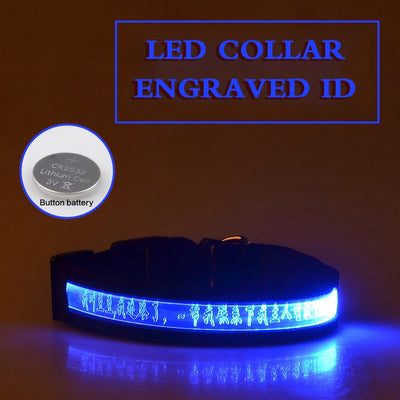 Collar Luminoso para Perros con Grabado Radium - Identificación Nocturna - Image 11
