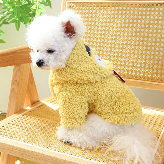 Suéter Casual para Mascotas Cuello Redondo - Image 10