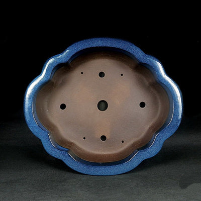 Maceta Bonsái Artesanal Cerámica Púrpura Jun Azul - Diseño Begonia Vintage - Image 12