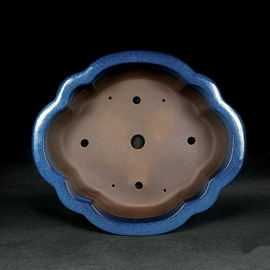 Maceta Bonsái Artesanal Cerámica Púrpura Jun Azul - Diseño Begonia Vintage - Image 12