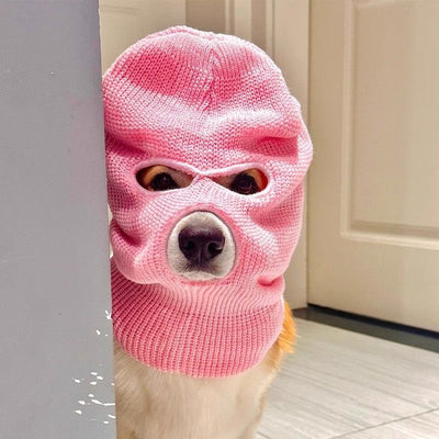 Gorro Creativo para Perro Corgi - Diadema Divertida para Mascotas - Image 9