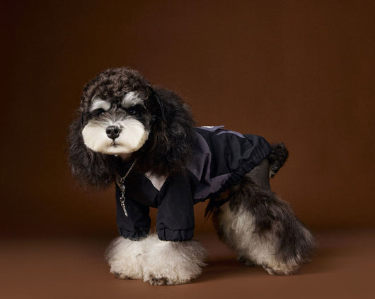 Ropa Deportiva Otoñal para Perros Macho - Diseño Elegante y Funcional - Image 13