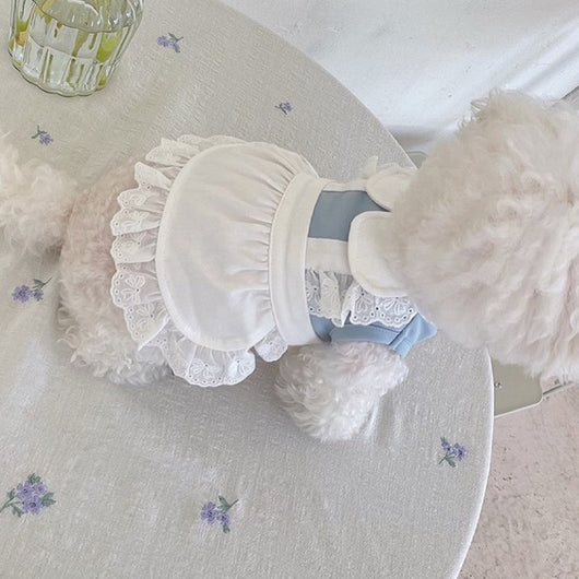 Falda de Encaje Elegante para Mascotas - Image 7