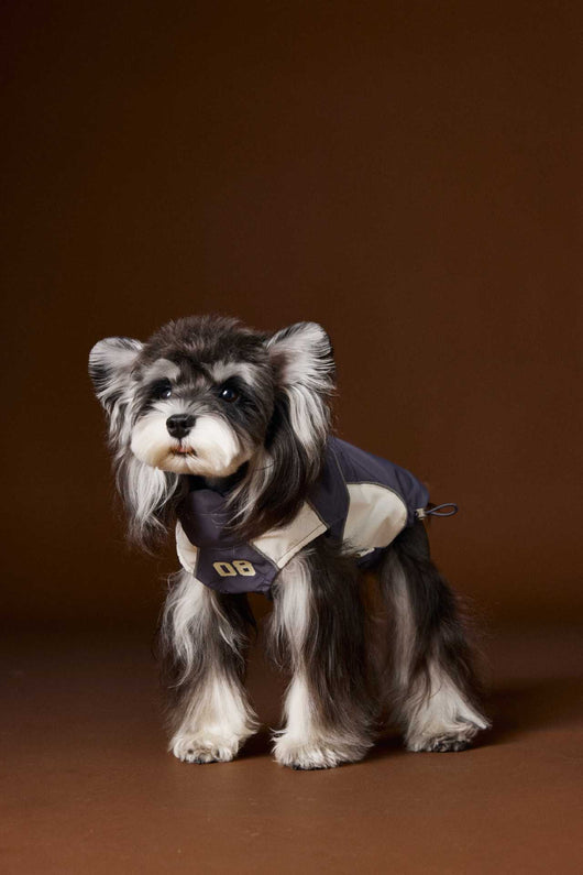Ropa de Otoño para Perros Pequeños - Abrigos para Schnauzer, Teddy y York - Image 2