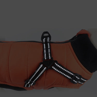 Abrigo Térmico para Perros Otoño-Invierno con Acolchado Integrado - Image 8