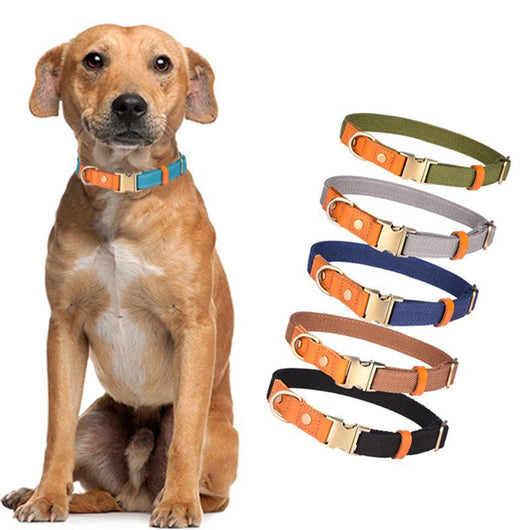Collar de Cuero para Mascotas con Grabado Personalizado - Image 18