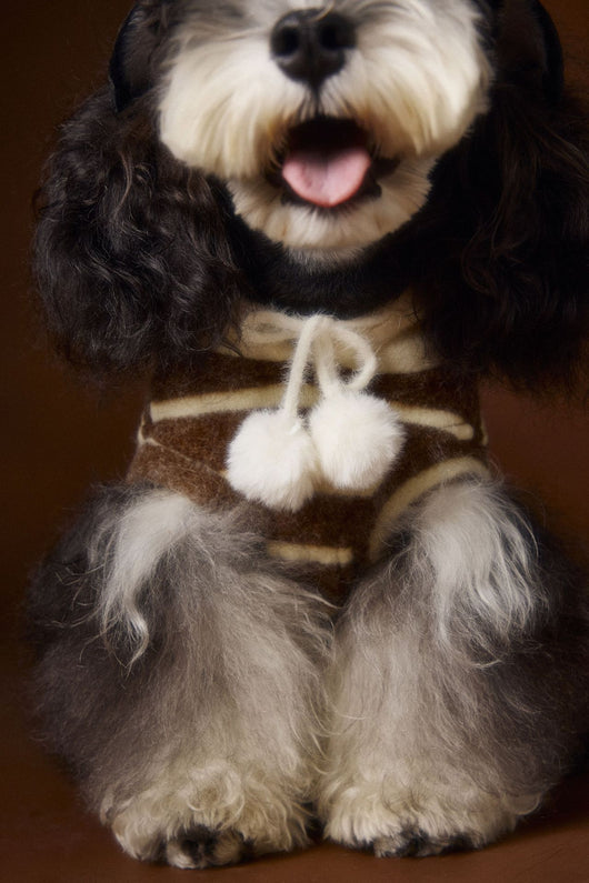 Suéter Acogedor de Galleta Felt para Mascotas - Otoño e Invierno - Image 25