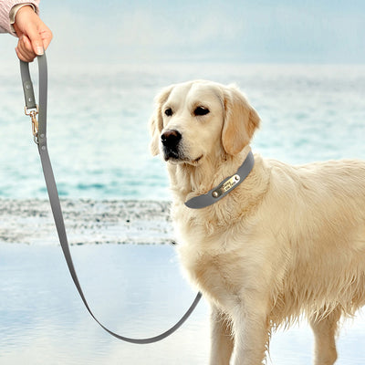 Correa con Collar Mediano para Perros Teddy - Image 18