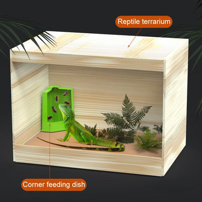 Comedero Esquinero para Dragón Barbudo con Ventosas - Alimentador de Pared para Terrario - Image 17