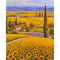 Style 7575 40 X 50 Cm