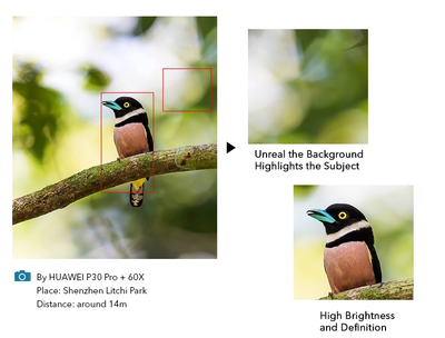 Lente Teleobjetivo Móvil APEXEL - Zoom Profesional para tu Smartphone - Image 13