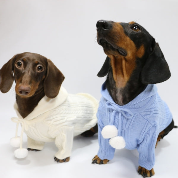 Sudadera Deportiva con Capucha para Otoño e Invierno