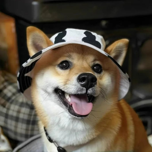 Gorro Cubo para Mascotas con Orejas Expuestas - Diseño Adorable - Image 3