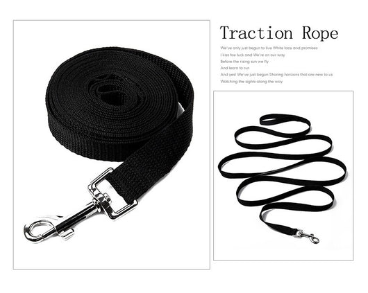Correa de Polipropileno para Perros - Cadena de Paseo Resistente - Image 8
