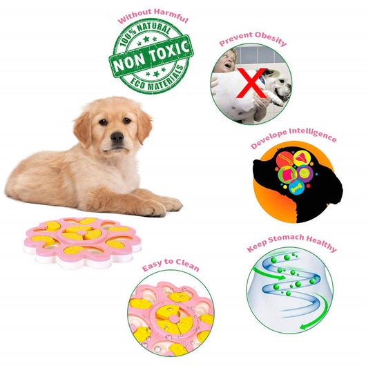 Comedero Elevado para Perros - Image 9