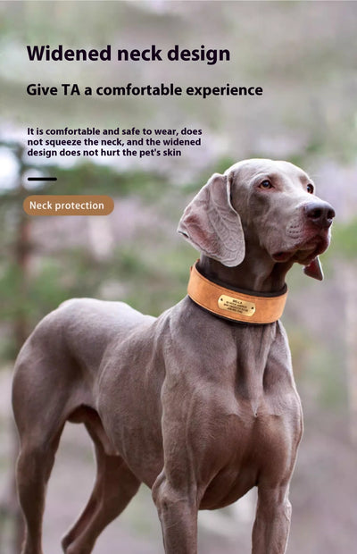 Collar Ancho para Perro con Letrero Antideslizante - Image 12