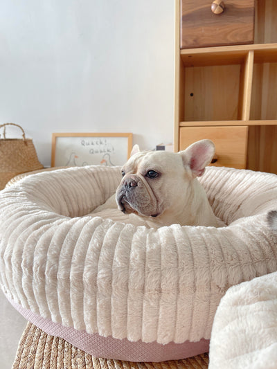 Cama Térmica Acogedora para Mascotas - Descanso Profundo y Confort - Image 17