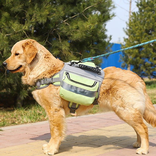 Mochila de Viaje para Perros Grandes - Carga Cómoda y Segura
