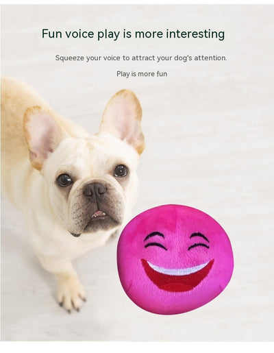 Colorful pet cat and dog toys, round balls with cartoon faces, packaged in a clear drawstring bag with cactus print. - Image 8