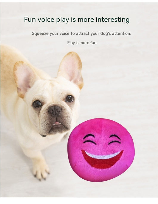 Colorful pet cat and dog toys, round balls with cartoon faces, packaged in a clear drawstring bag with cactus print. - Image 8