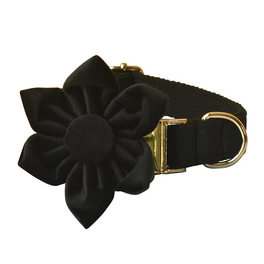 Correa y Collar Doble Capa de Microfibra con Hebilla Oro Rosa - Image 17