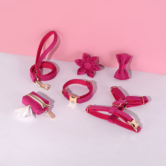 Conjunto de Collar y Correa de Terciopelo Suave para Mascotas - Image 11