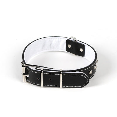 Collar de Cuero para Mascotas con Remaches Cromados Acero Inoxidable - Image 4