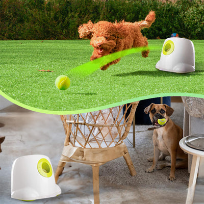 Lanzador Automático de Pelotas de Tenis AFP 3196 - Máquina Portátil para Mascotas y Entrenamiento - Image 6