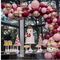 Globos de Látex Suave con Cadena Decorativa