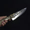 Cuchillo Divisor de Frutas en Acero Inoxidable