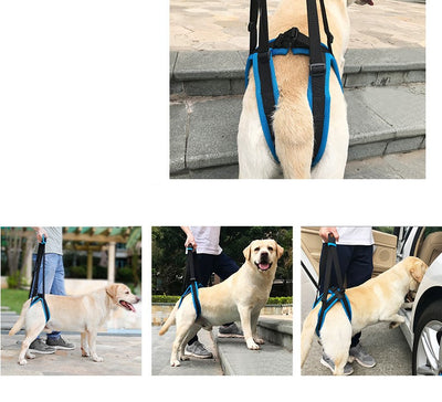 Soporte de Marcha con Correa para Patas de Mascotas - Image 48