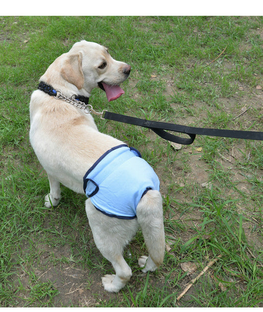 Pañales Higiénicos para Perros con Velcro Ajustable - Image 10