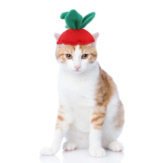 Gorro Cálido Disfraz Mascota Perro Gato - Accesorios Fotográficos - Image 22