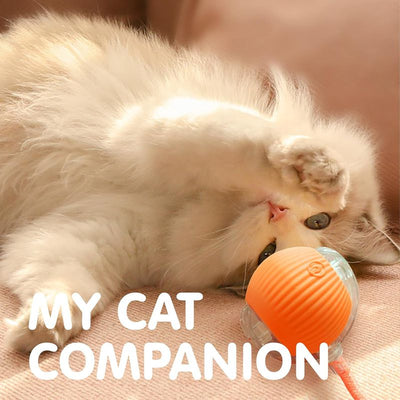 Blue and clear interactive cat ball toy with a rope, shown with three playful cats in the background. - Image 25